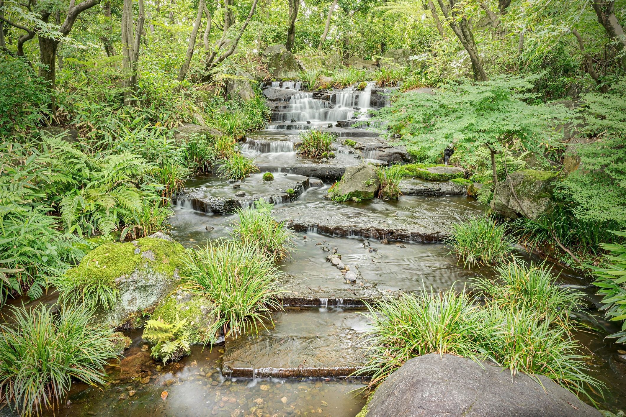 Calming waterfall flowing over rocks