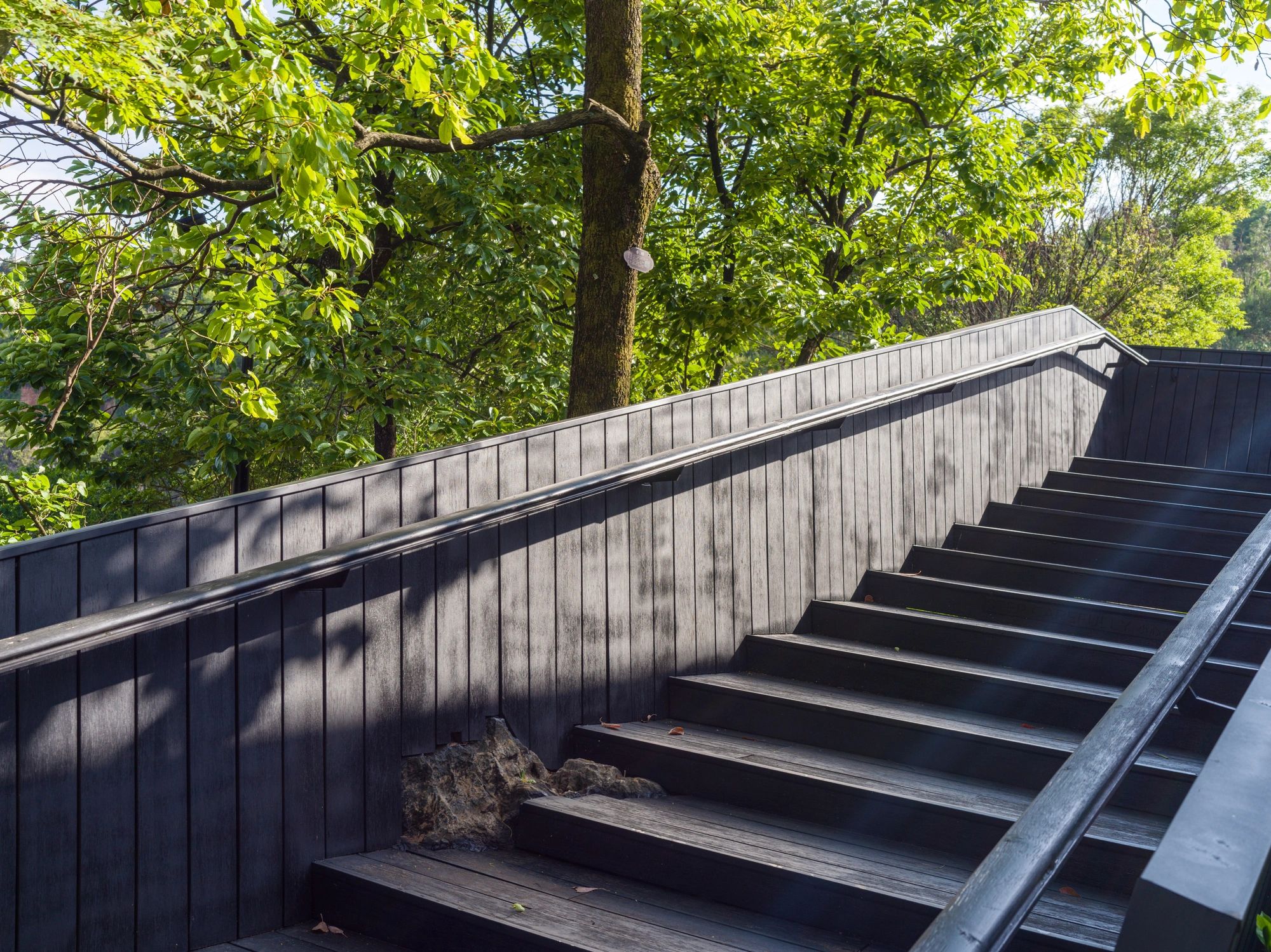 Wooded path and staircase symbolizing personal journey and responsibility