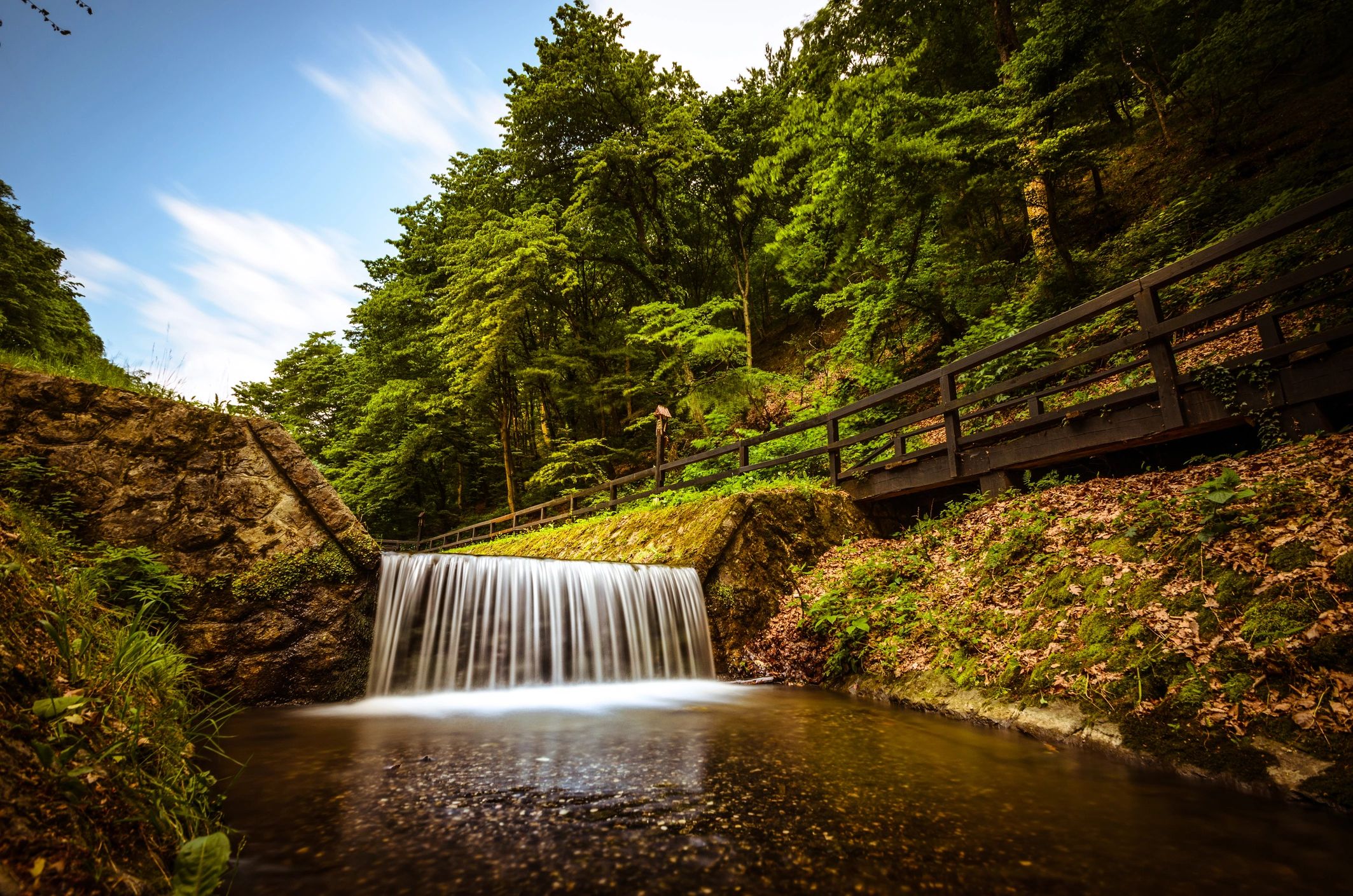 Forest creek with small waterfall
